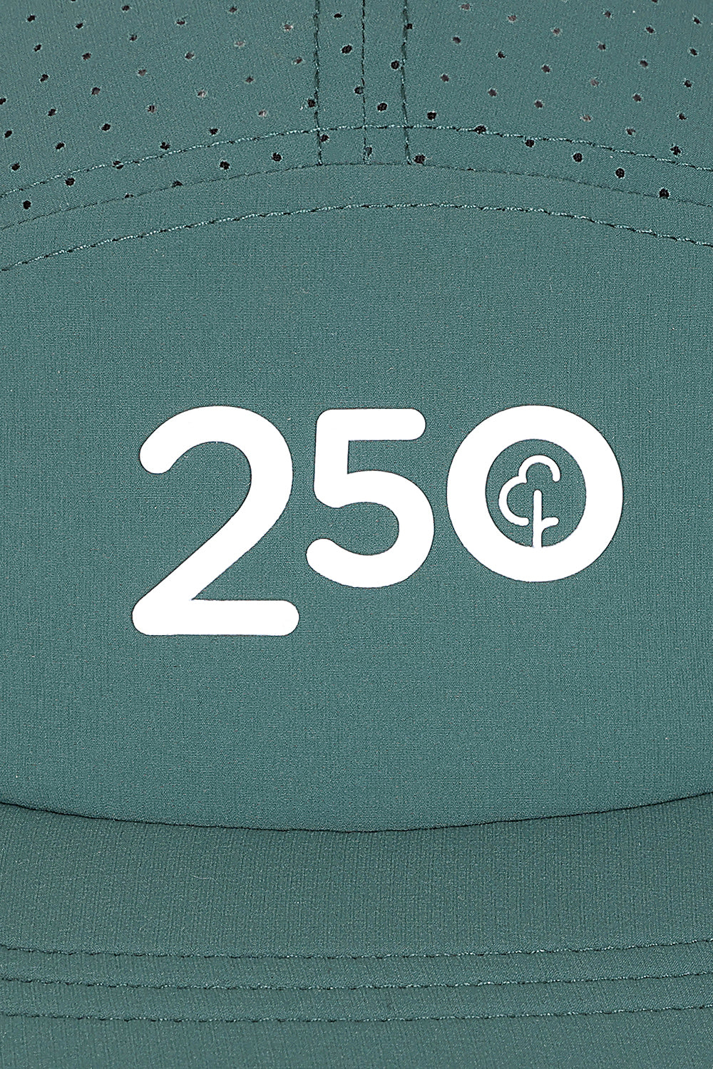 parkrun Walk/Run 250 Milestone Cap