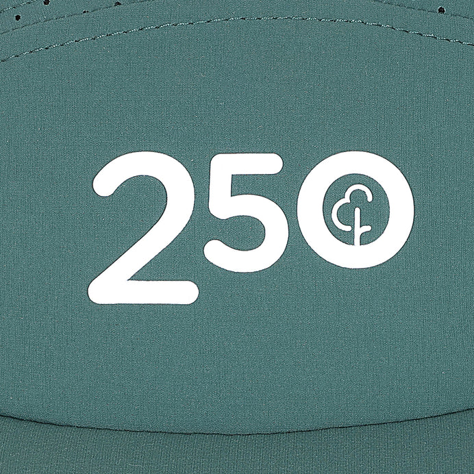 parkrun Walk/Run 250 Milestone Cap