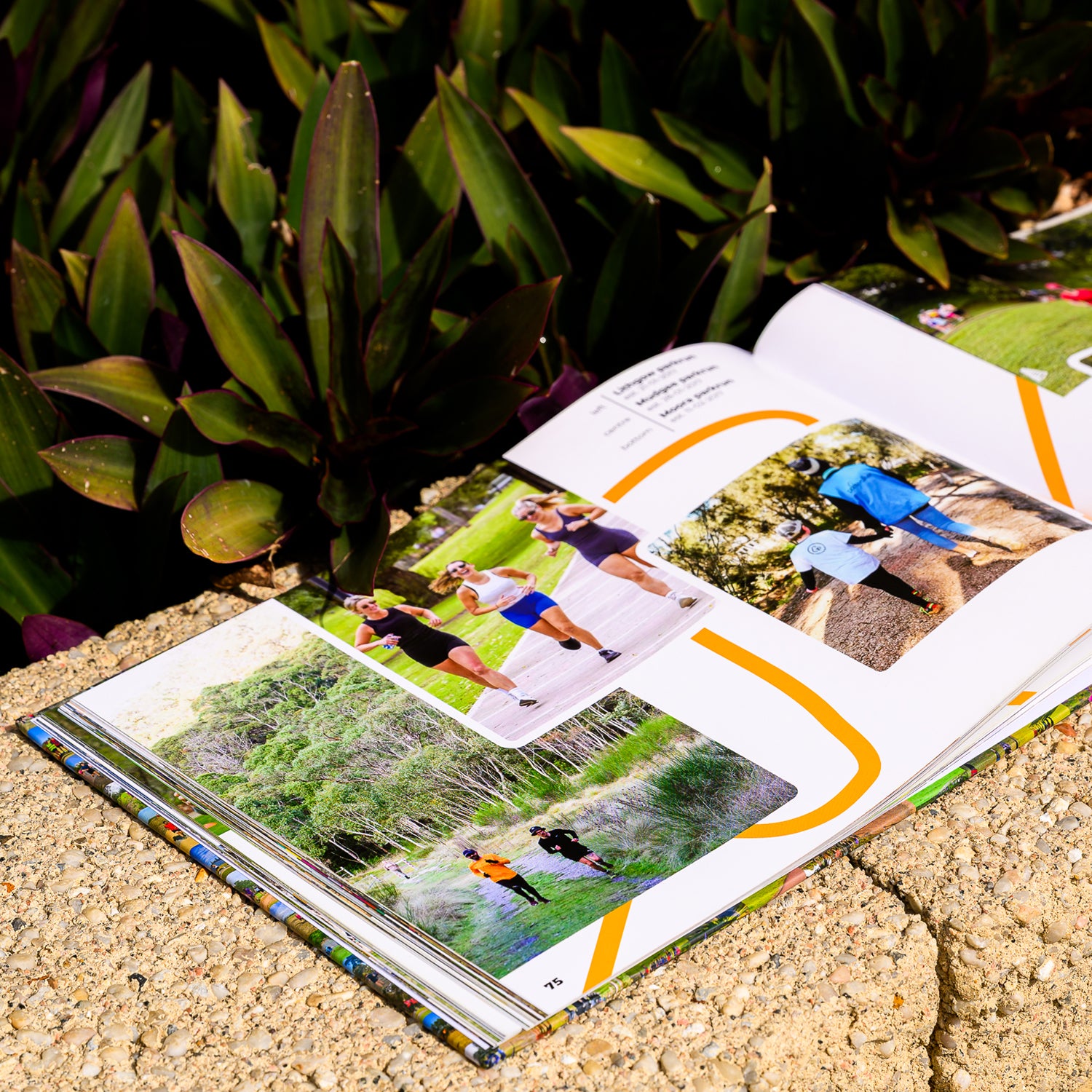 parkrun Australia 500 and beyond photobook