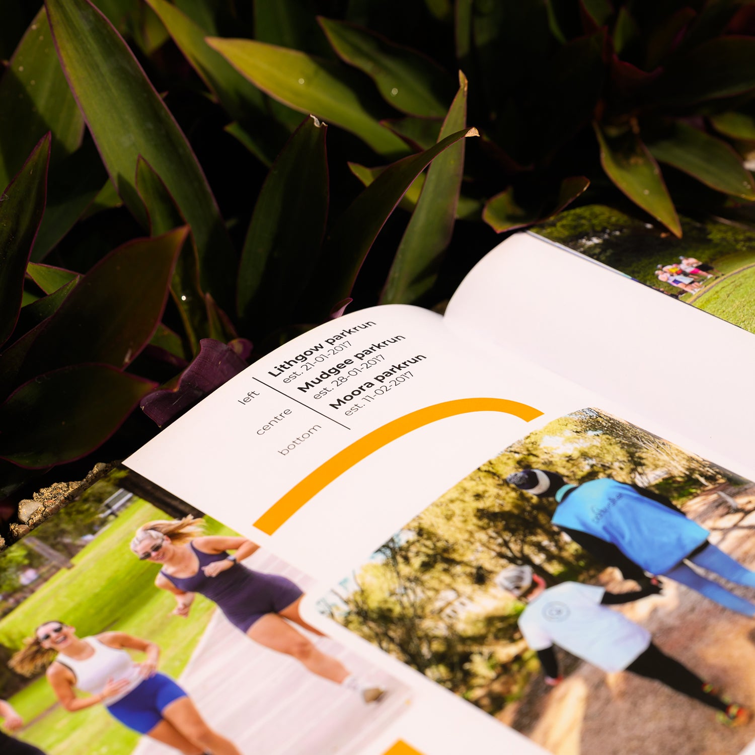 parkrun Australia 500 and beyond photobook