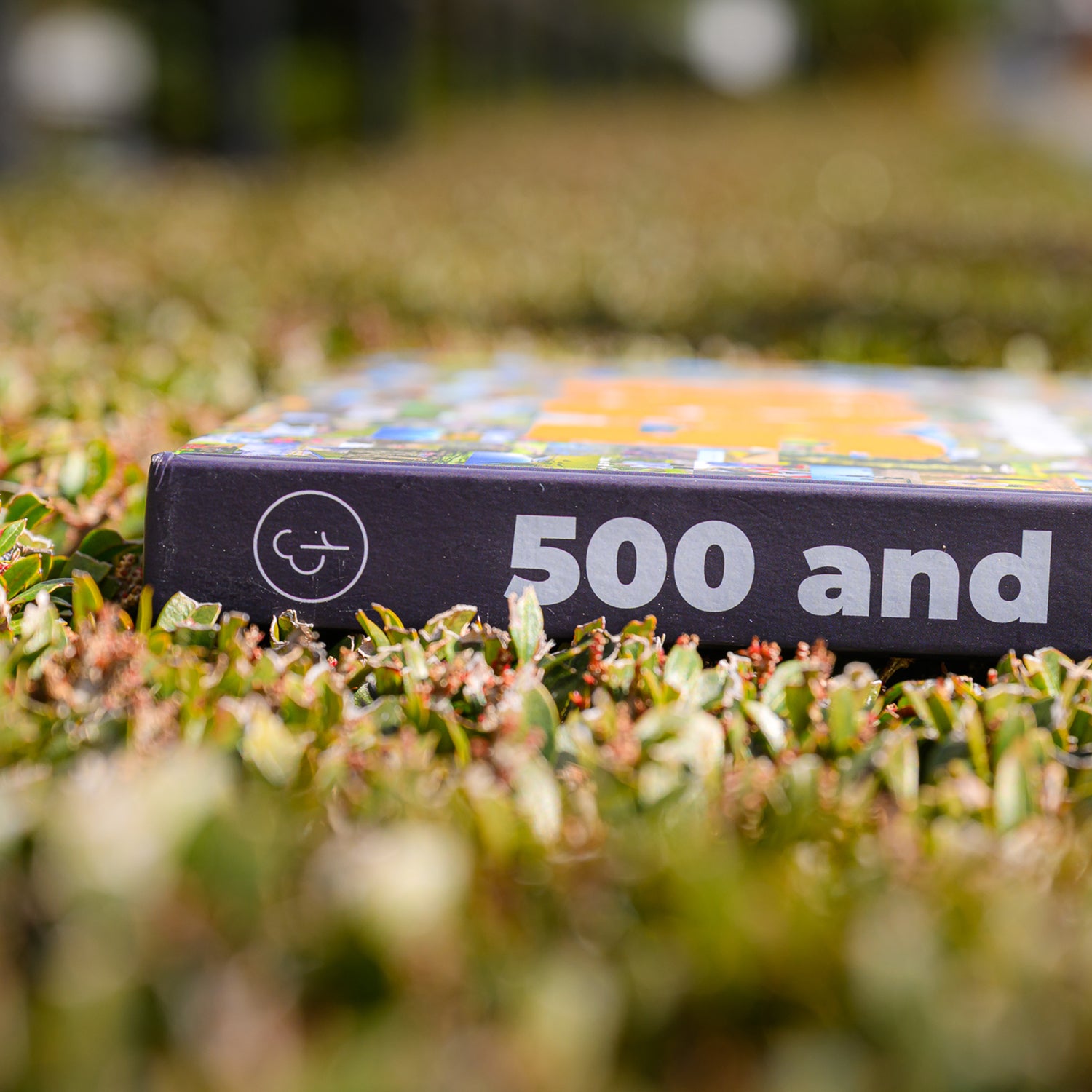 parkrun Australia 500 and beyond photobook