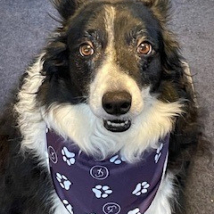 Pet Barkdana