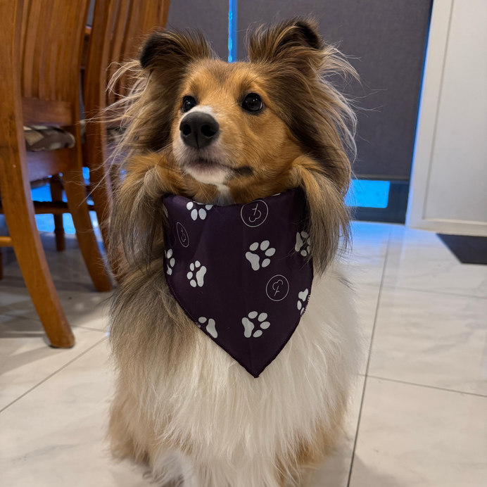 Pet Barkdana